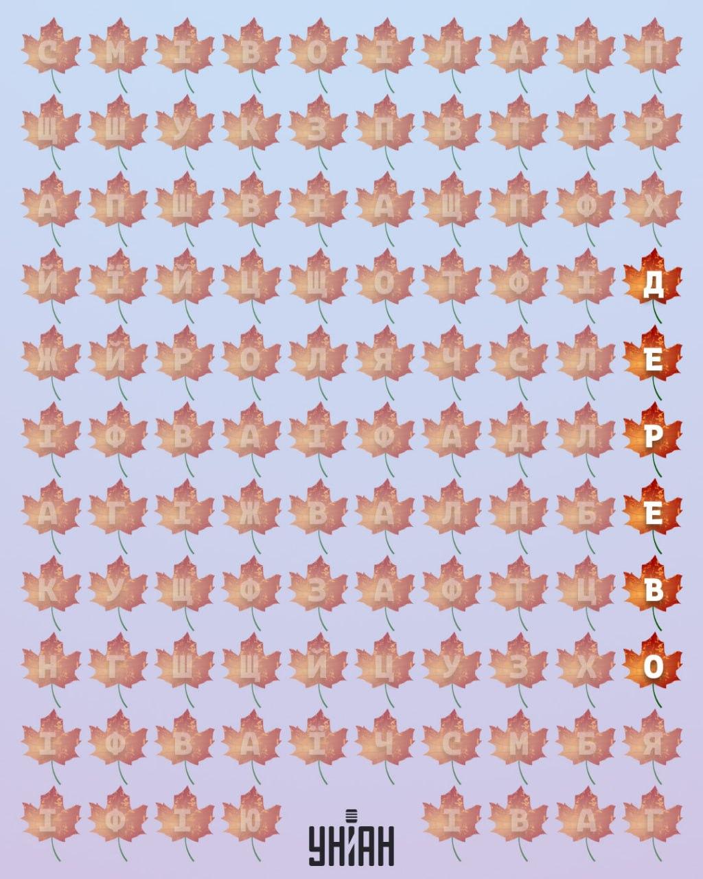 Колаж на Moje