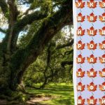 Само 2% от гениите ще открият думата „дърво“ за 10