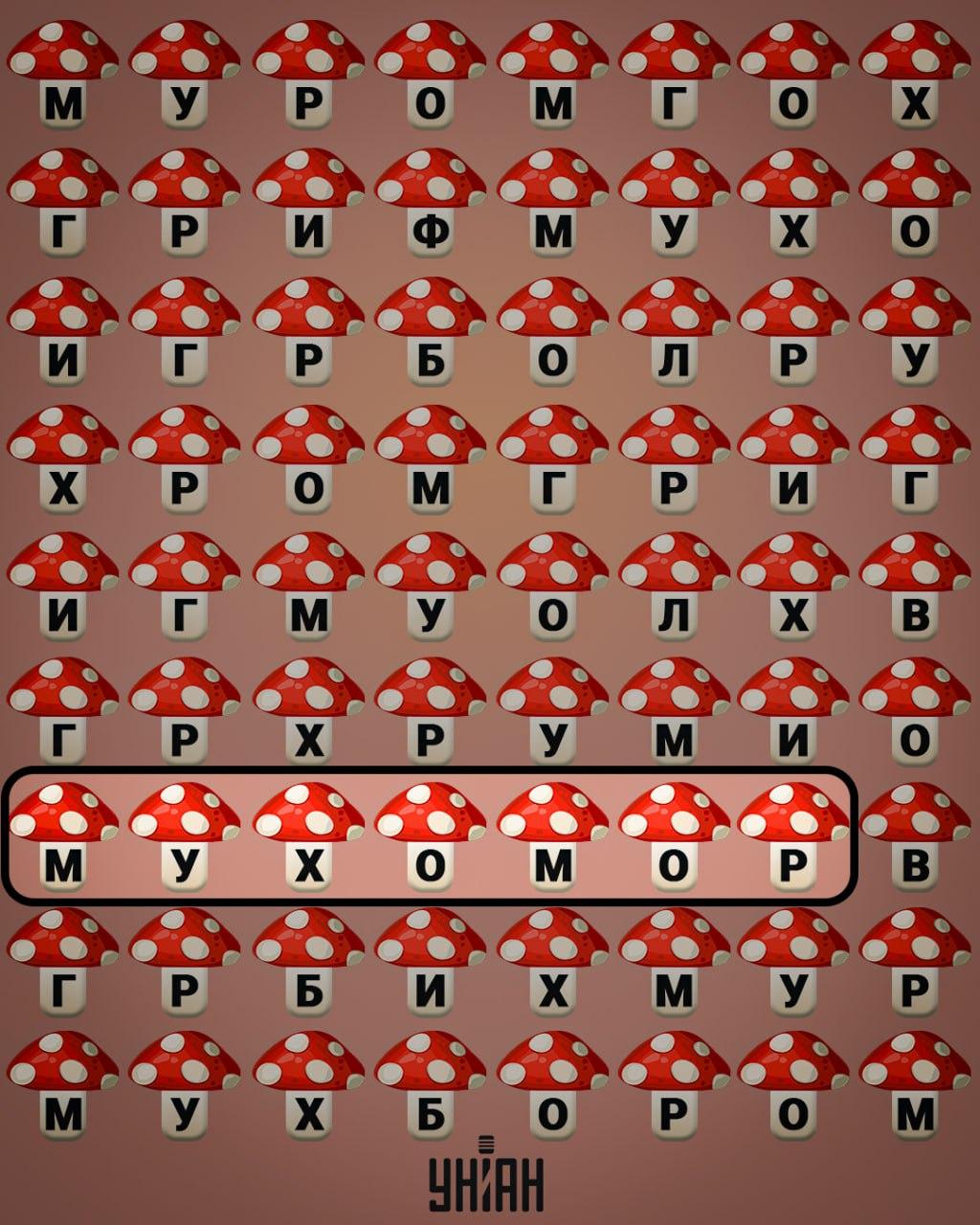 Колаж на Moje