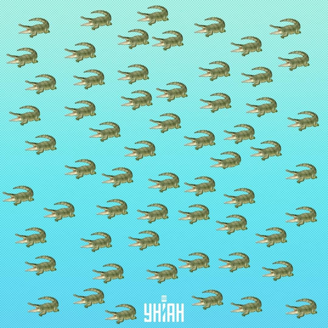 Влечугото е скрито, но трябва да го видите след 15 секунди / Колаж Moje