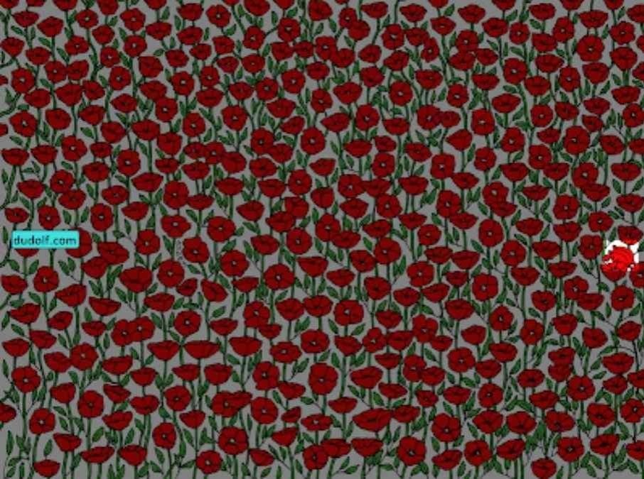 Само супер внимателните ще открият рака на снимката: тествайте IQ-то си за 25 секунди