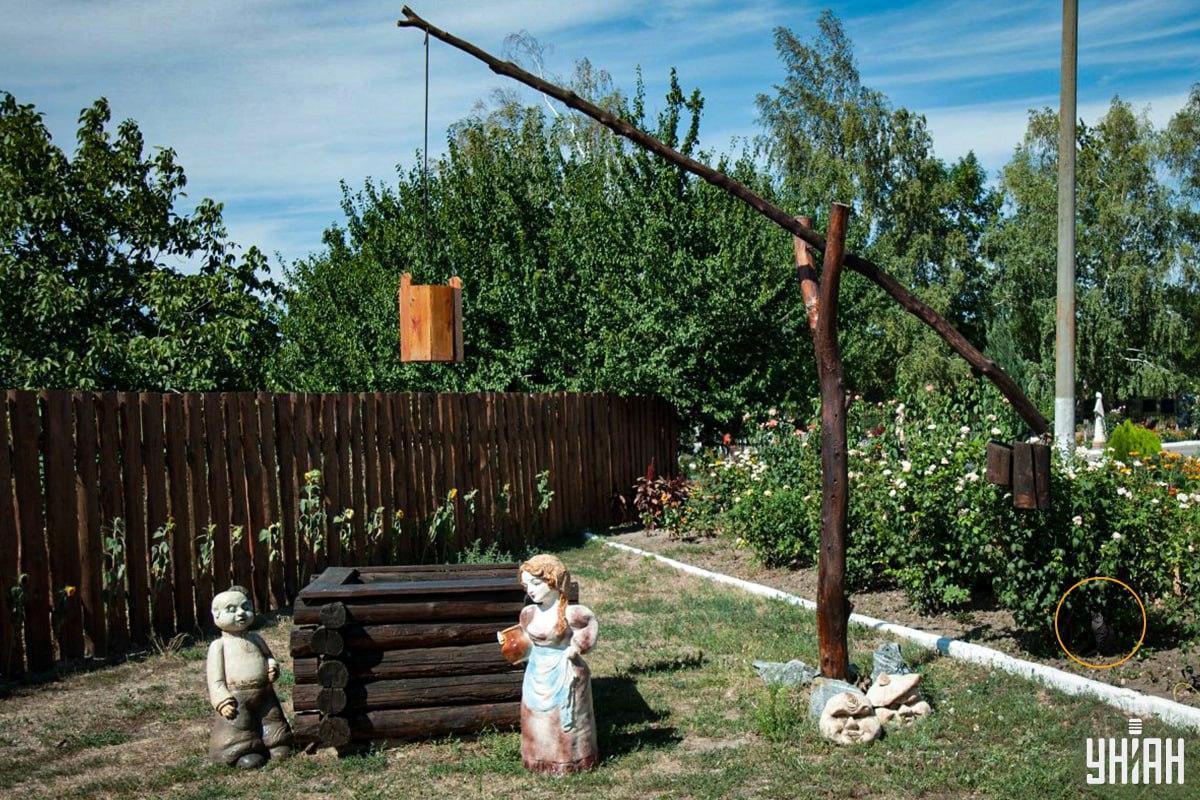 Котката беше в цветната леха / колаж Moje