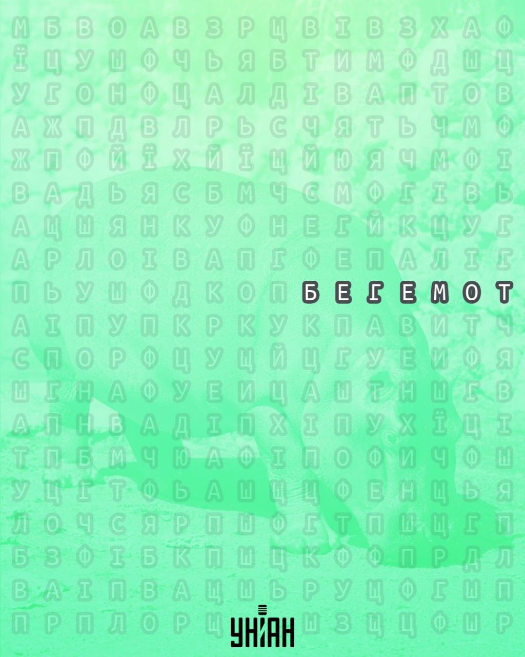 Колаж на Moje