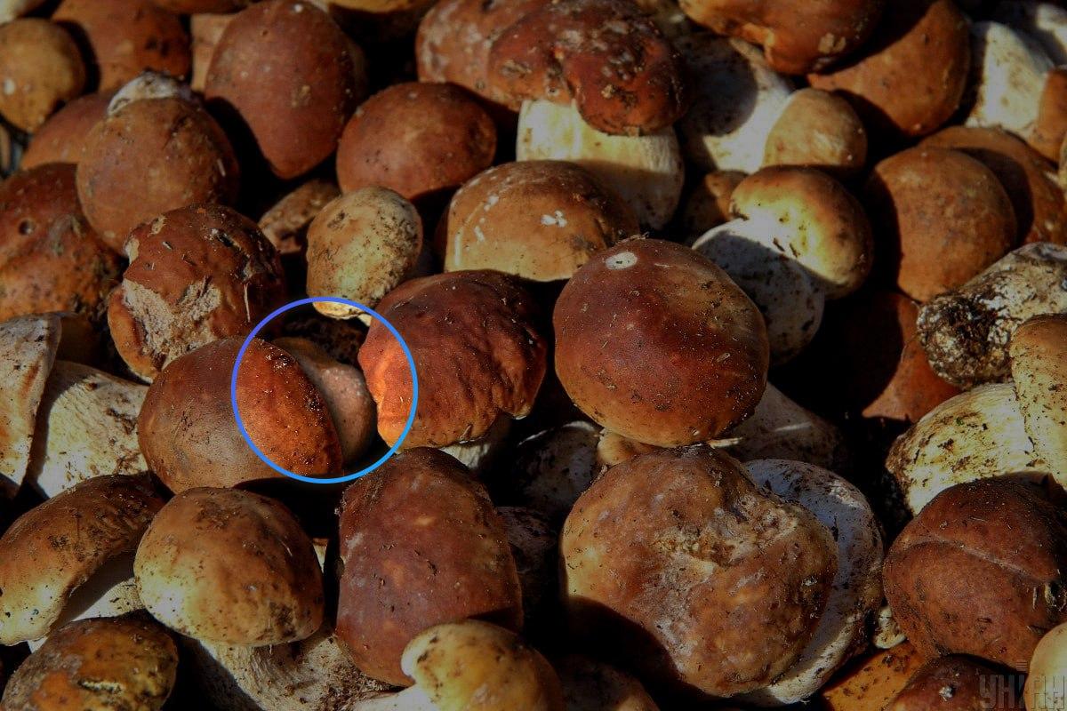 Камъкът се намираше почти в центъра на оптичната илюзия / колаж Moje