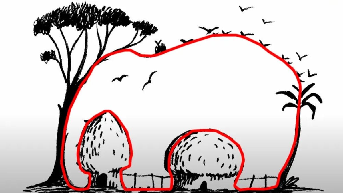 Решение на оптичната илюзия