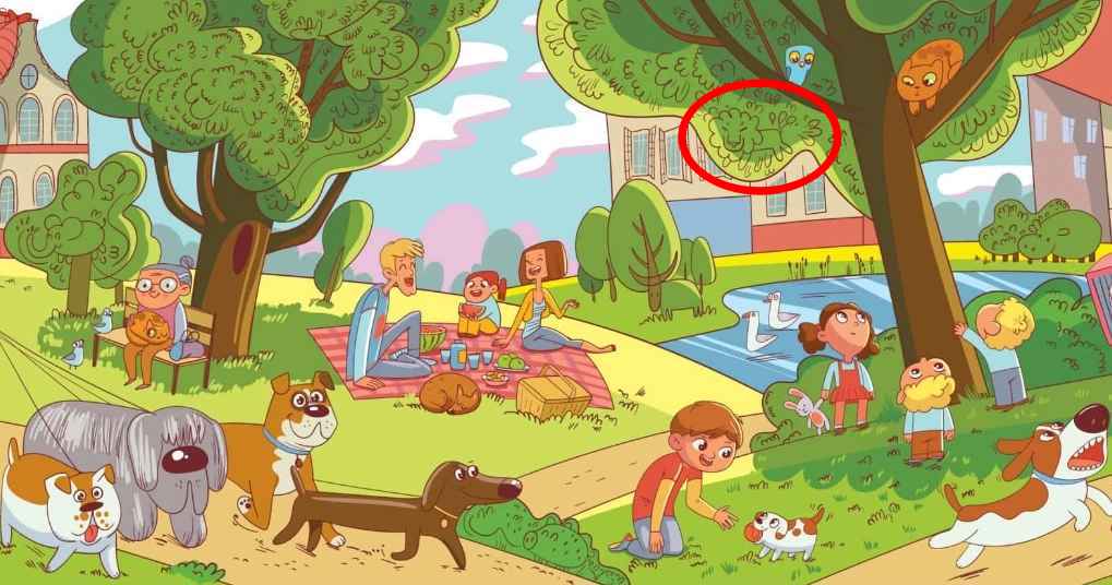 Това е задача, с която могат да се справят само няколко души: трябва да откриете лъва в парка за 6 секунди.