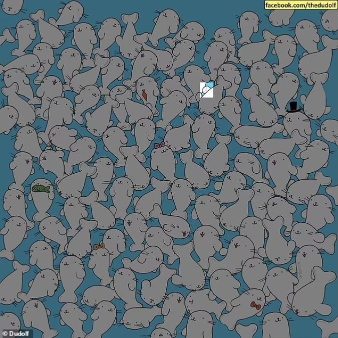 Пъзел за хора с изострено зрение: намерете маршмелоу сред тюлените за 11 секунди