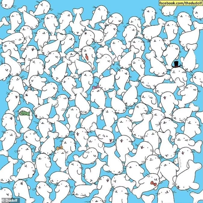 Пъзел за хора с изострено зрение: намерете зефира сред тюлените за 11 секунди.