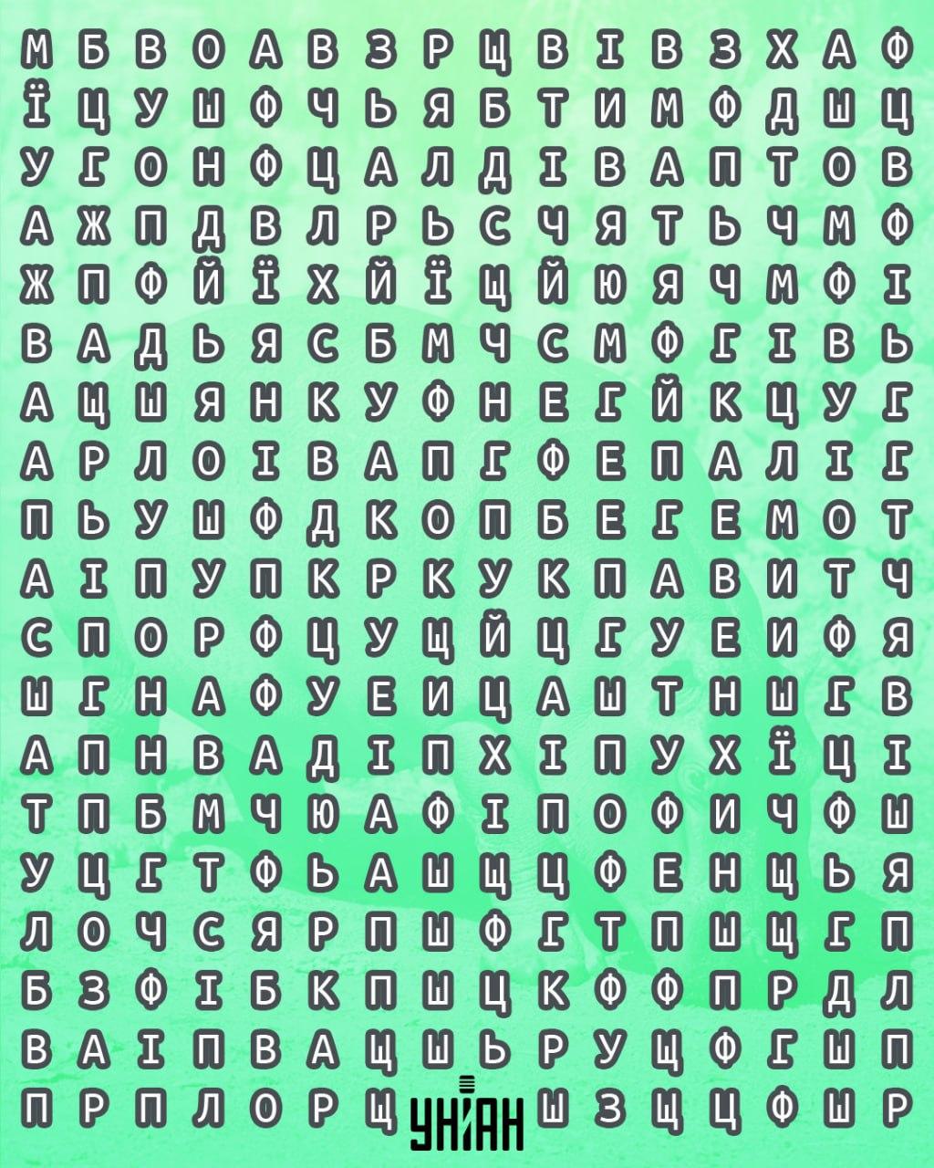 Колаж на Moje