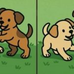 IQ тест: открийте 3 разлики в снимките на две кученца за 51 секунди IQ тест: открийте 3 разлики в снимките на две кученца