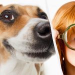 Само истински IQ титан ще види куче в снега за 10 секунди: спираща дъха оптична илюзия Само истински IQ титан ще види куче в снега за