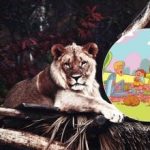 Това е задача, с която могат да се справят само